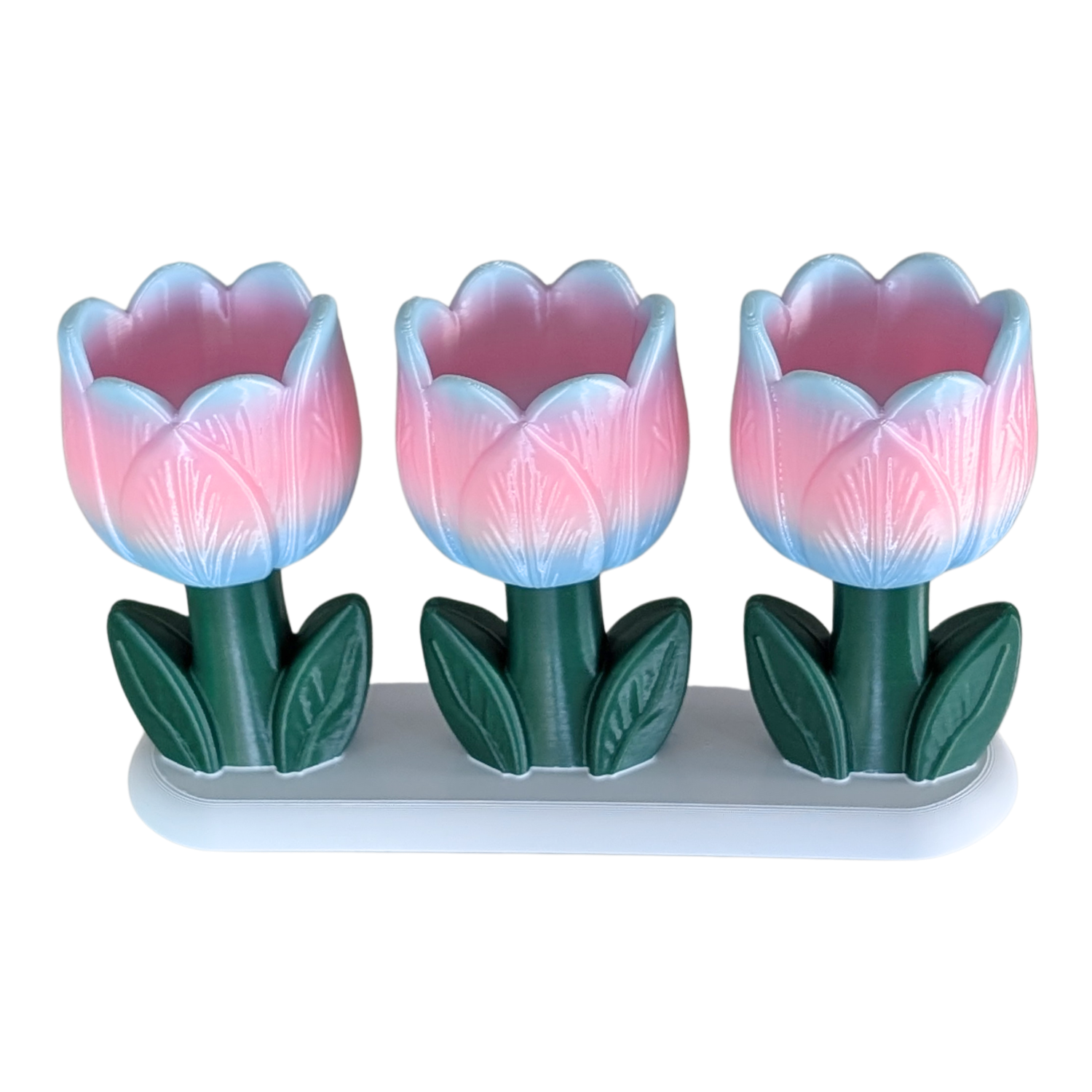 Tulip Bloom