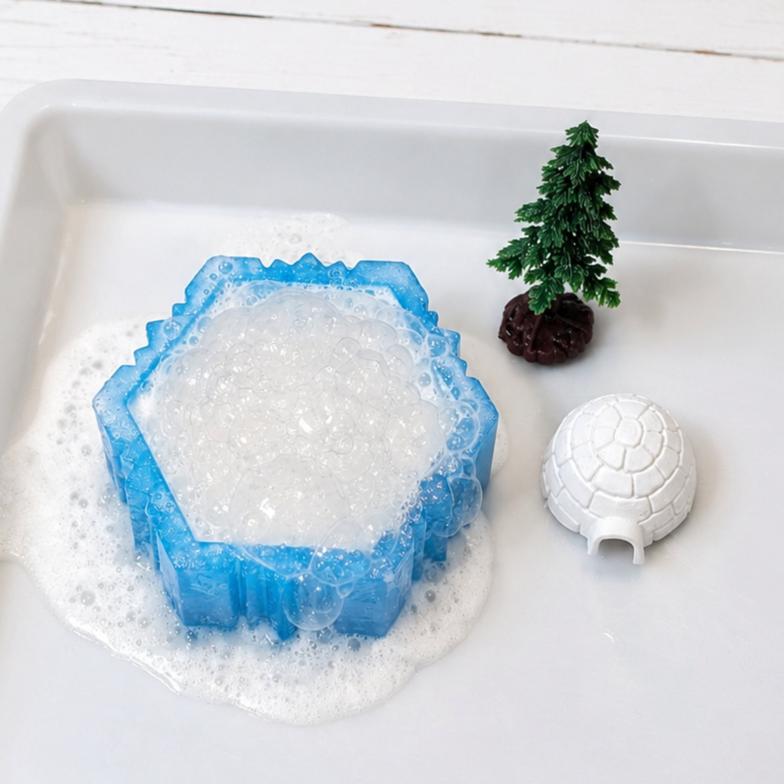 Snow & Ice Expedition