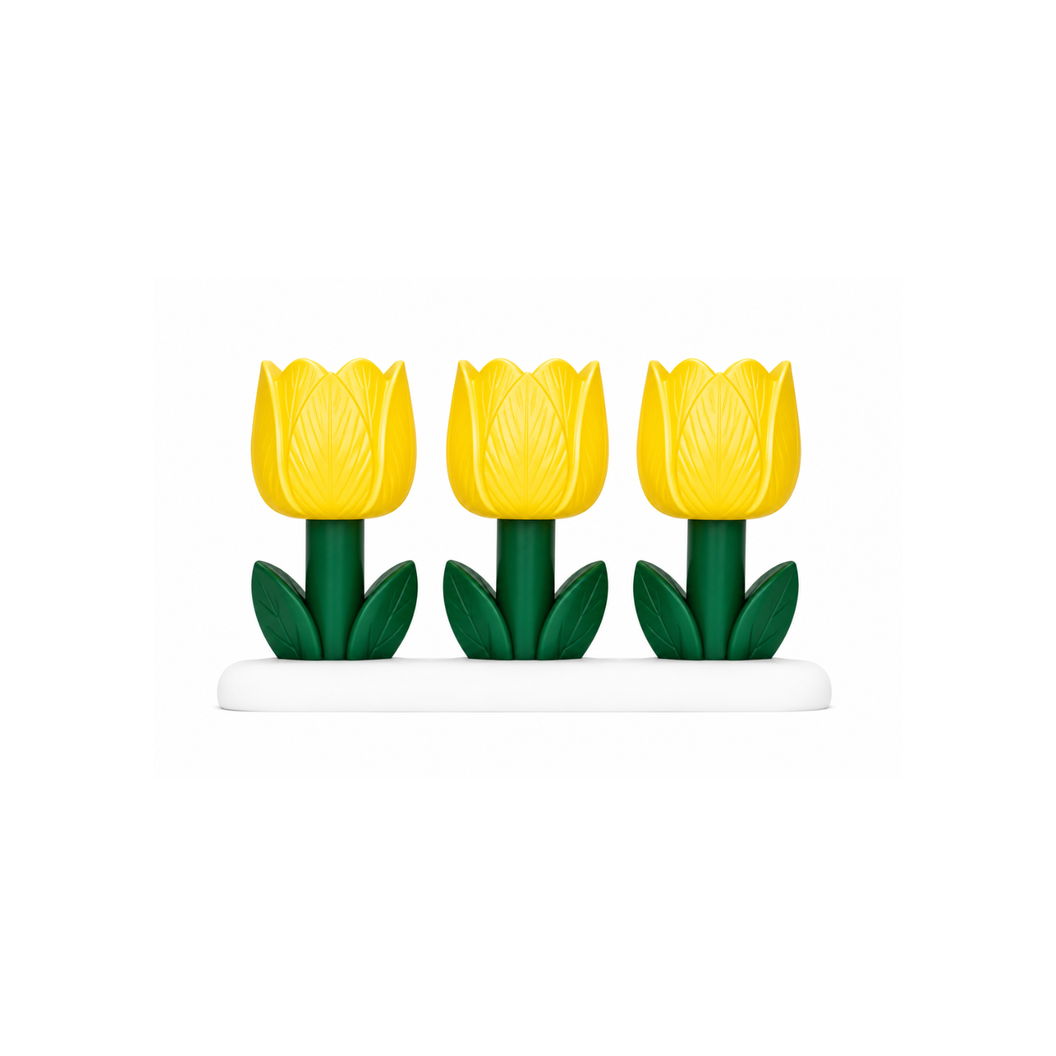 Tulip Bloom