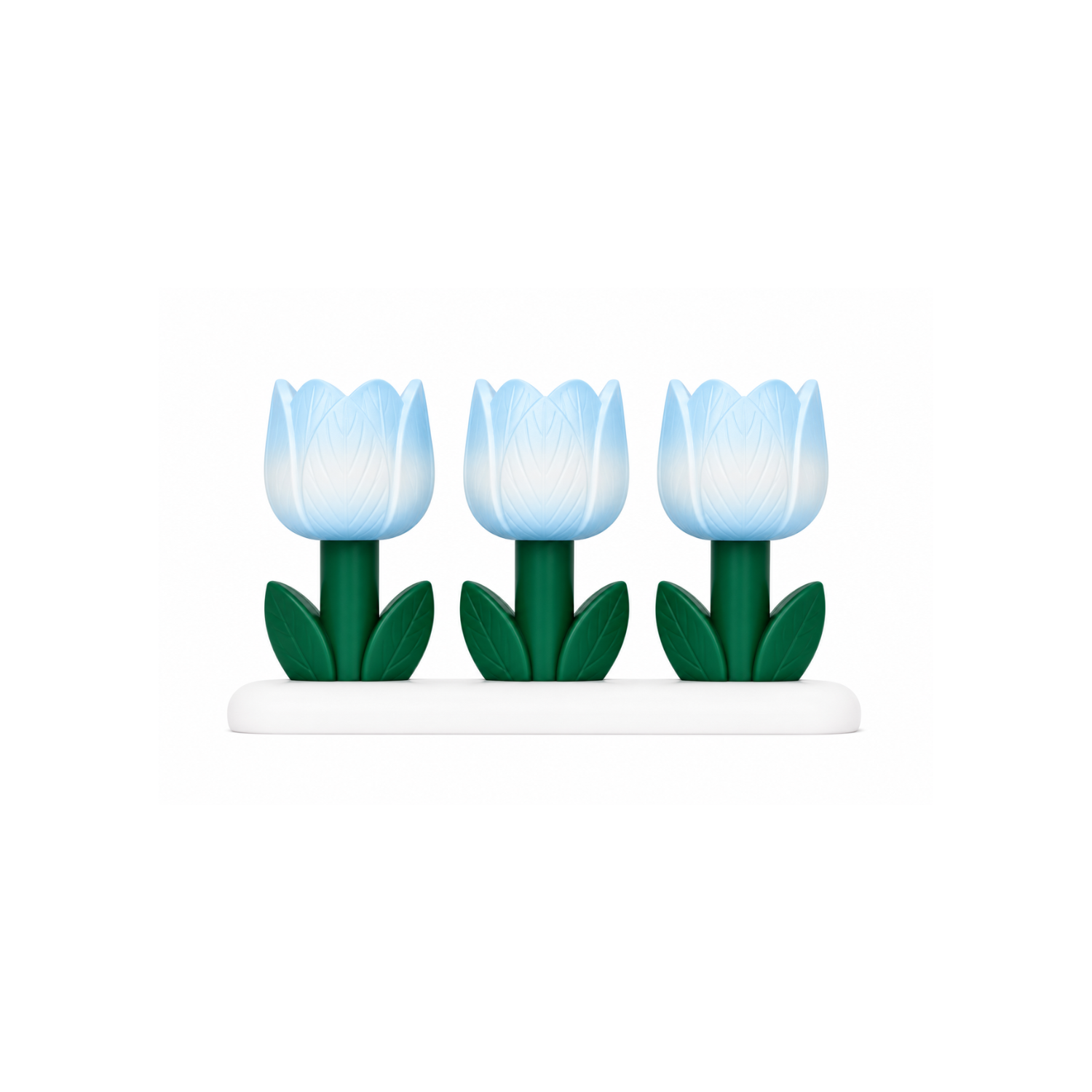 Tulip Bloom