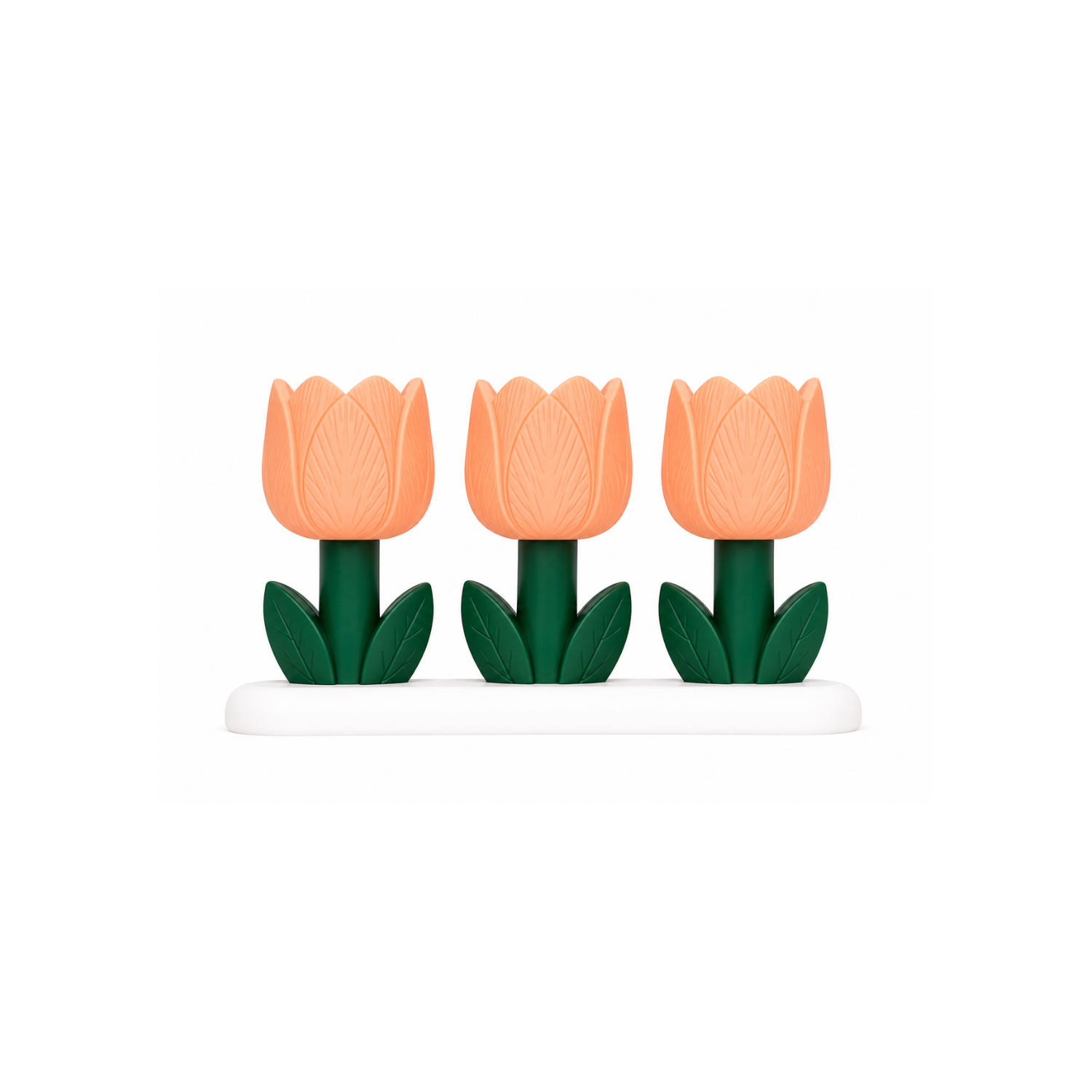 Tulip Bloom