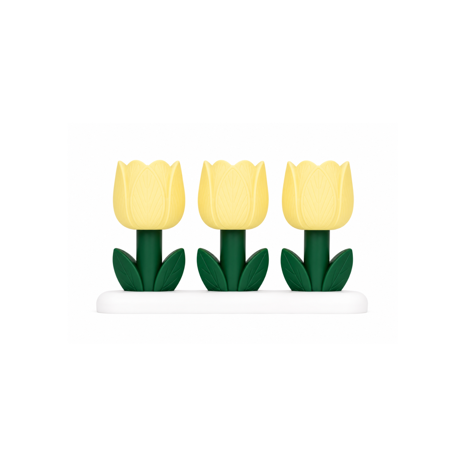 Tulip Bloom