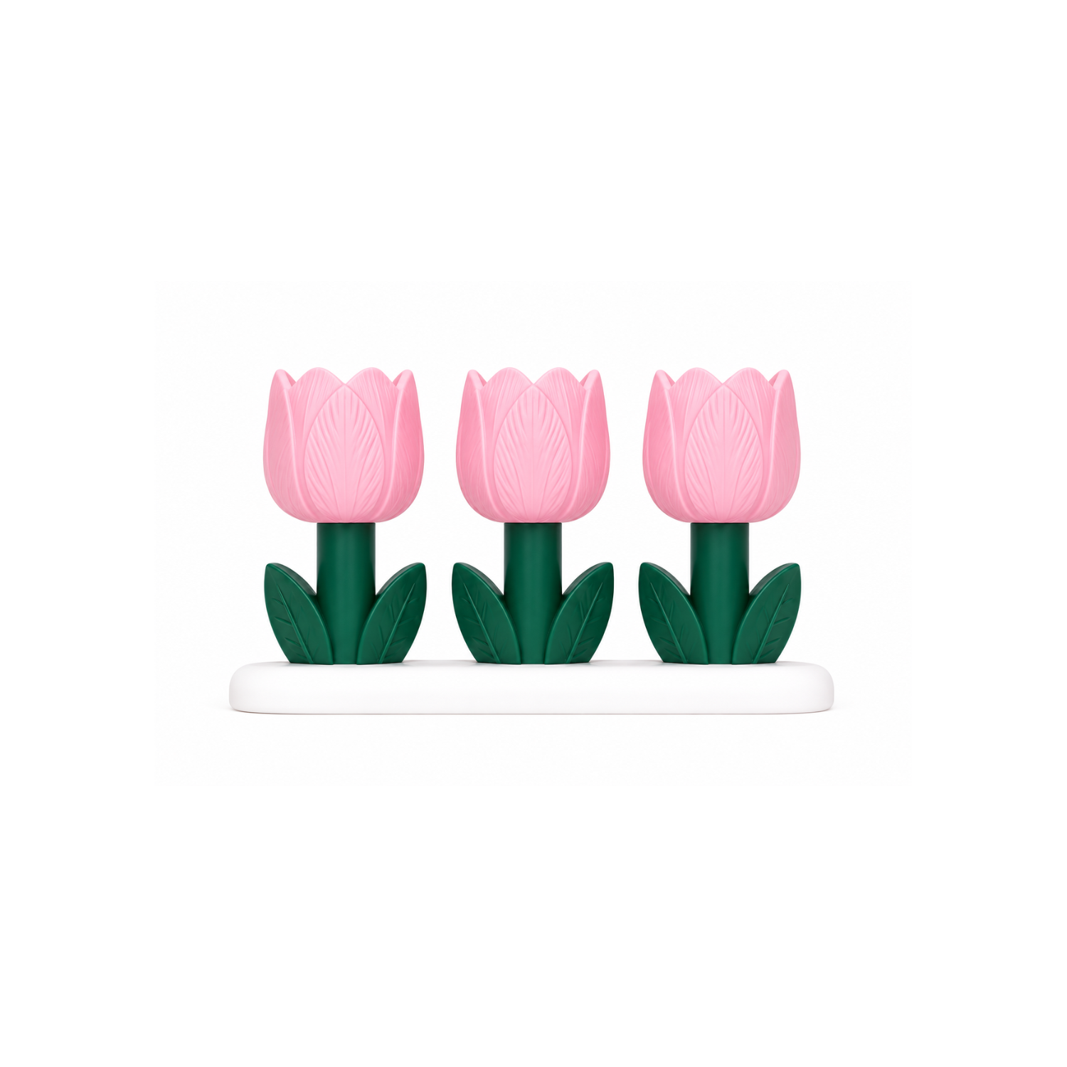 Tulip Bloom