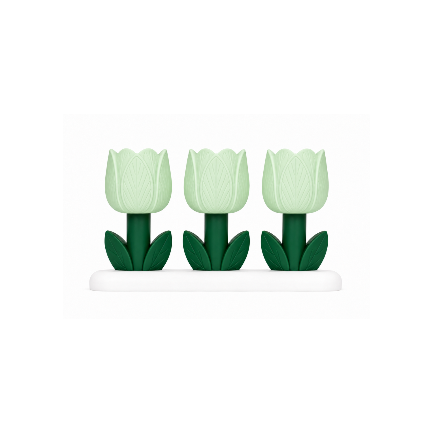 Tulip Bloom