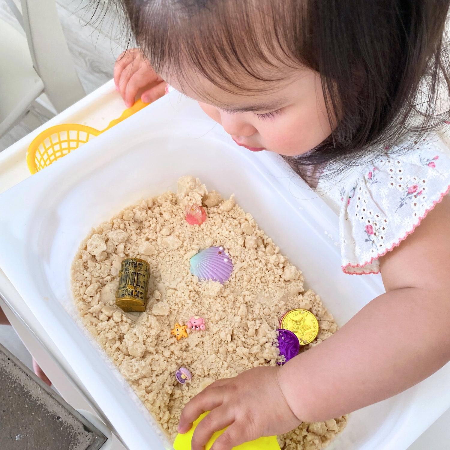 Sandy Shores Expedition