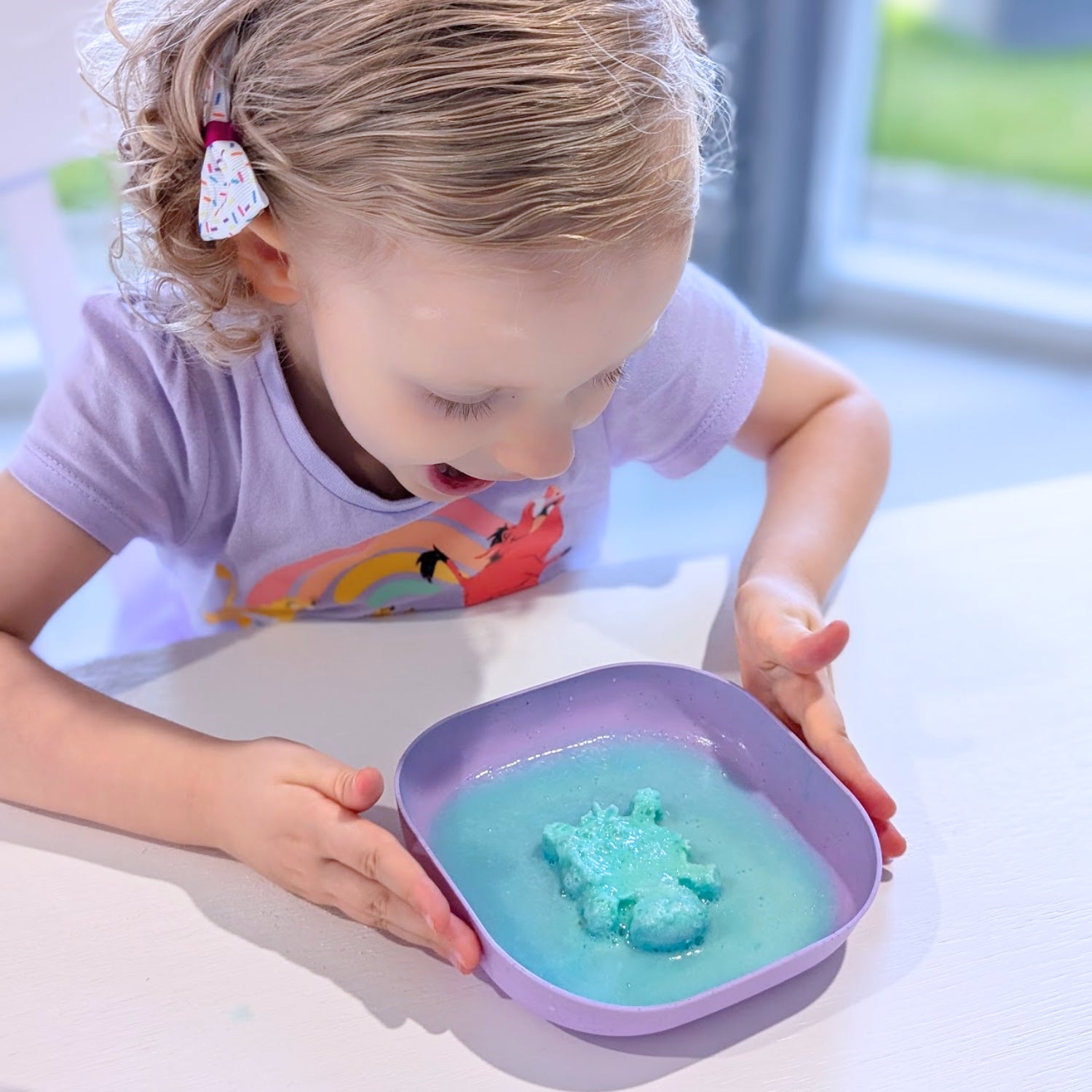 Sandy Shores Expedition