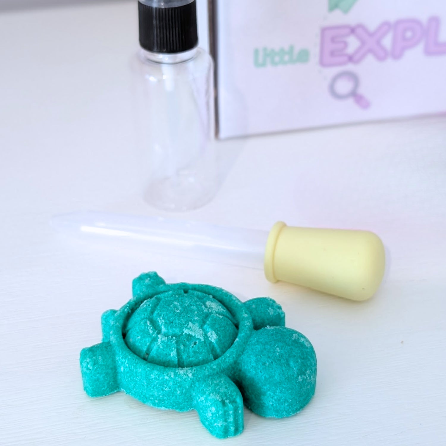 Sandy Shores Expedition