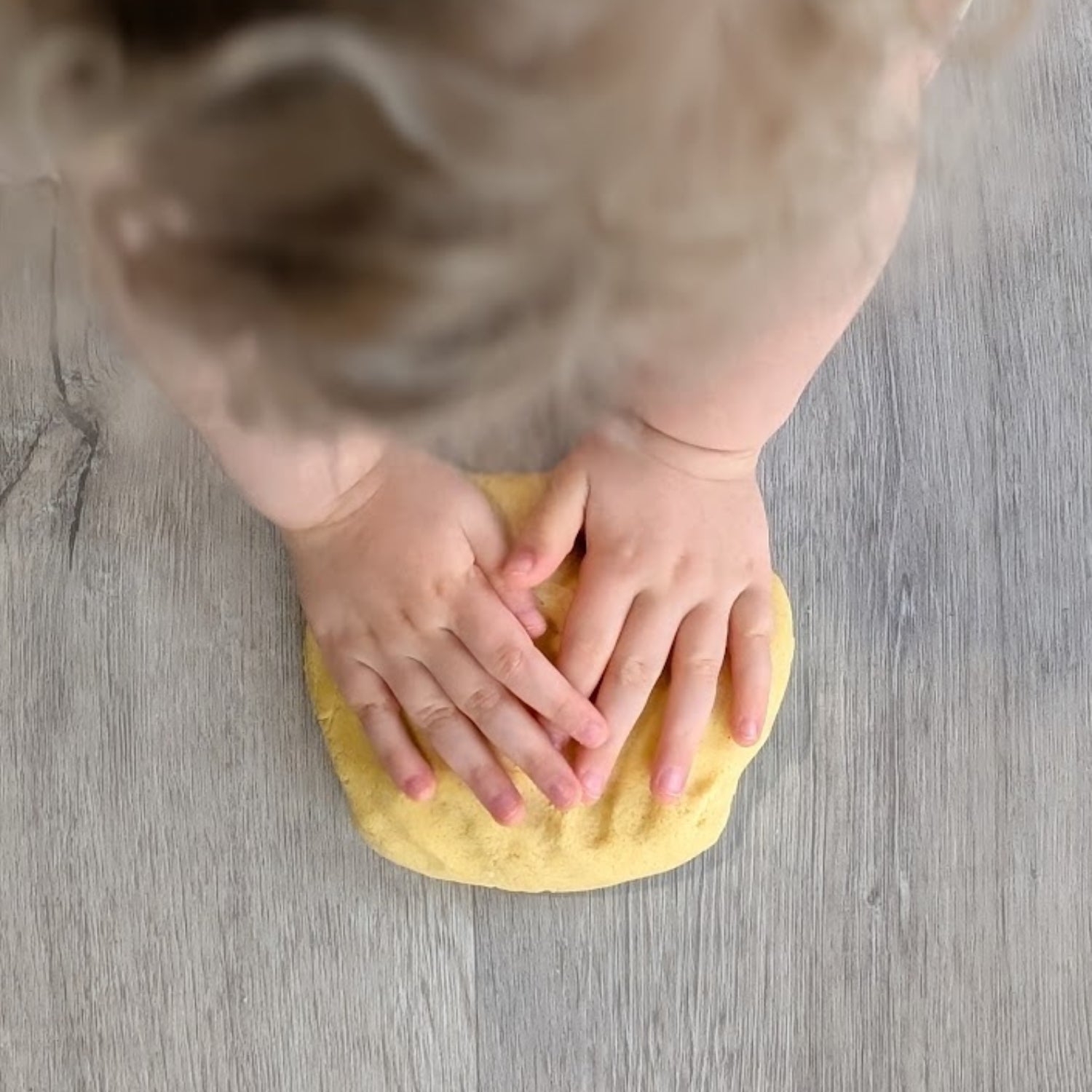 Sandy Shores Expedition