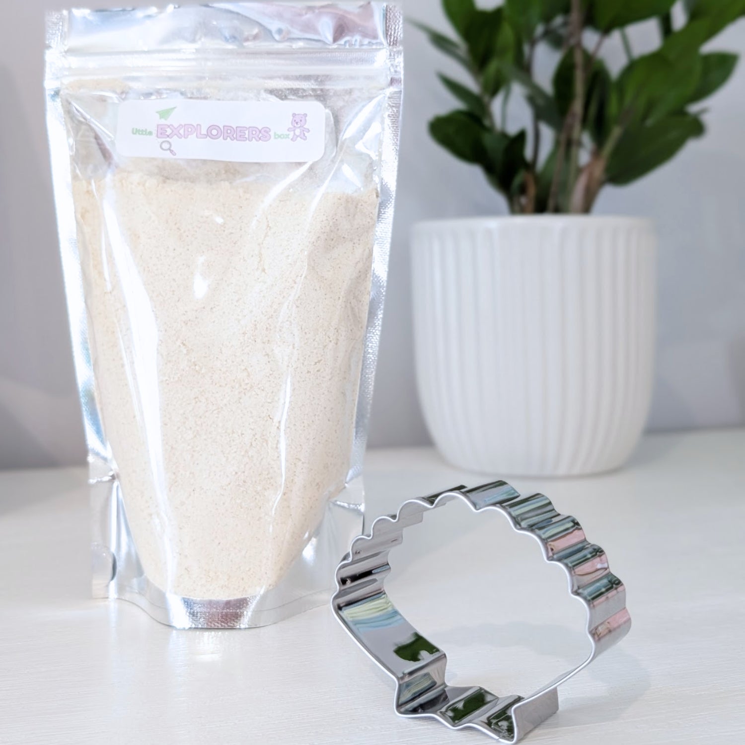 Sandy Shores Expedition