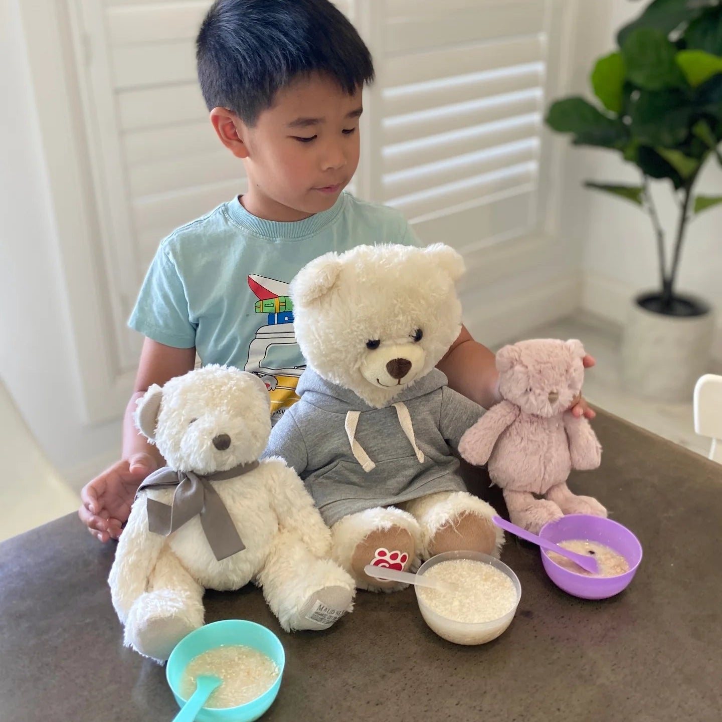 Teddy Bear Picnic