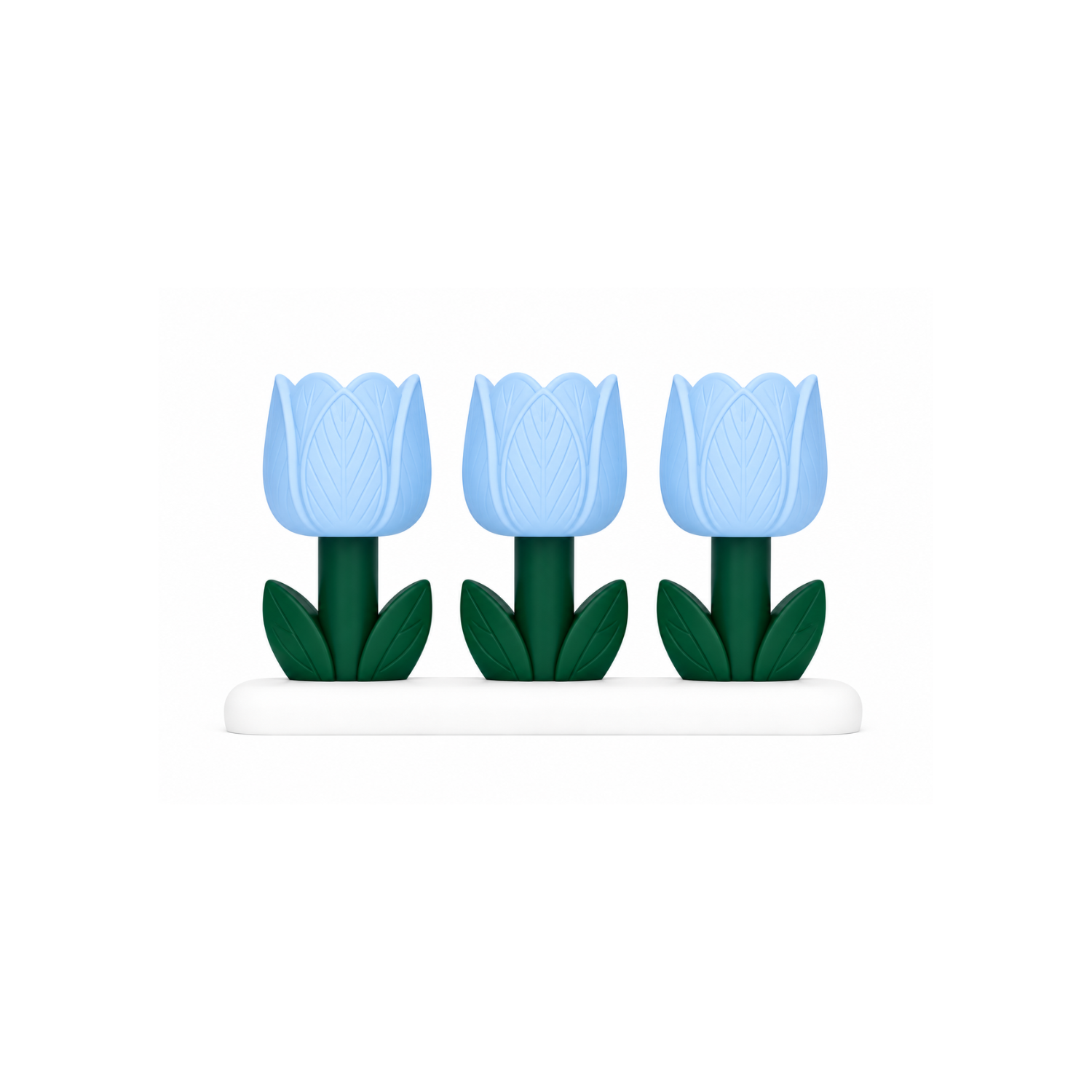Tulip Bloom